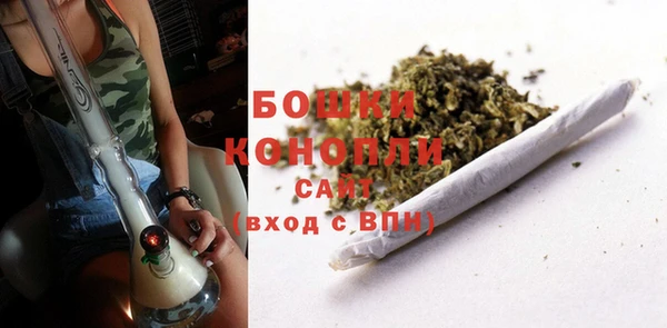 СК Липки