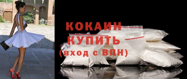 крисы Лагань