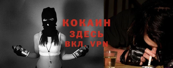 сатива Ладушкин