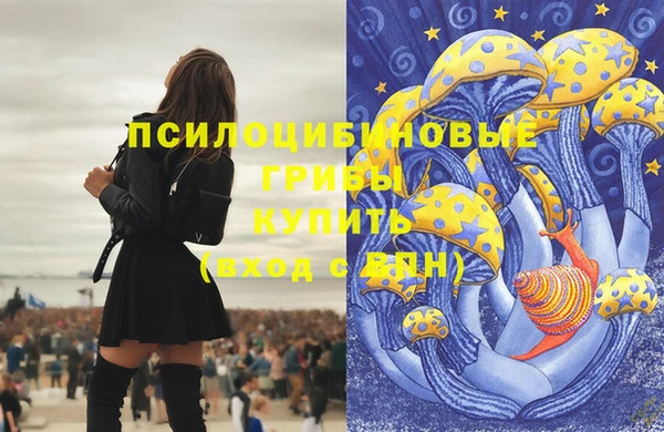 СК Кулебаки