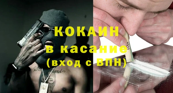 сатива Ладушкин