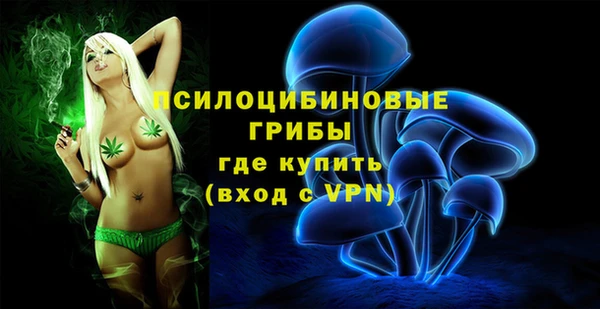 МДМА Лабытнанги