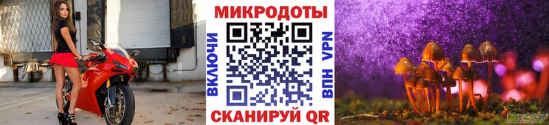 Псилоцибиновые грибы Psilocybine cubensis  купить закладку  Суоярви 